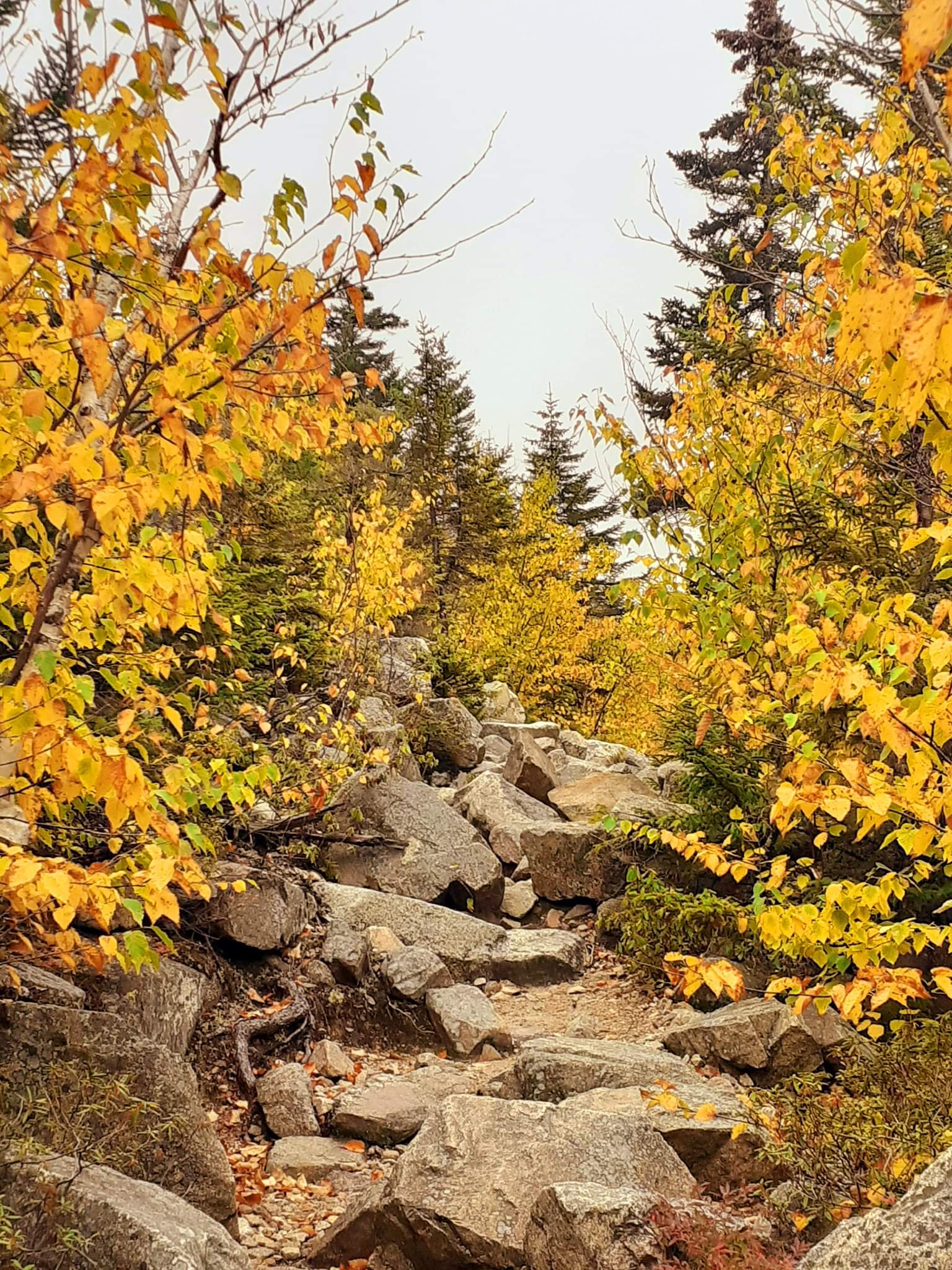 Hiking with Haley