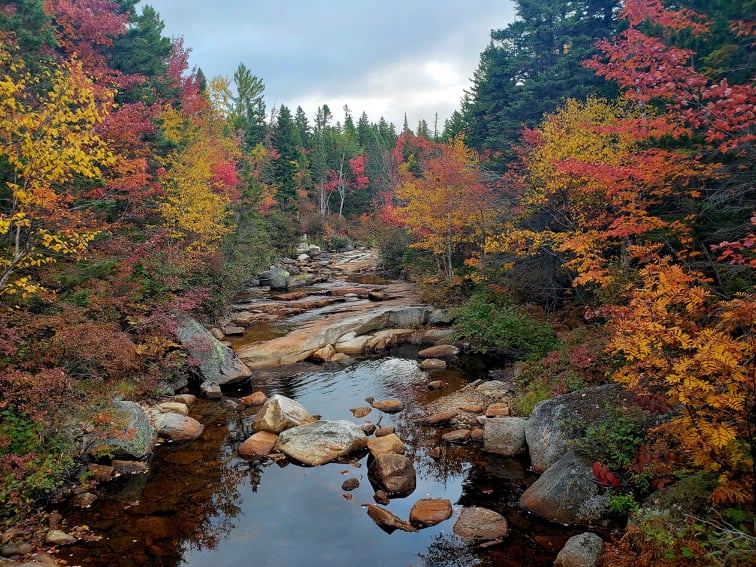 Fall Hiking in The White Mountains with Haley